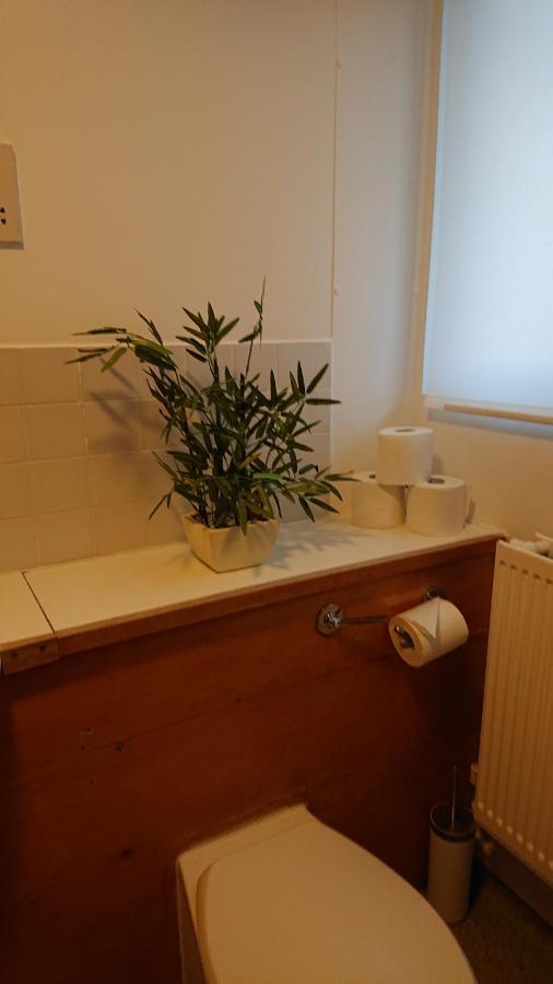 Bright, Nice Interior, Close To The City, 2 Bedroom Apartment London Eksteriør bilde